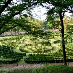 Arboretum Bramy Morawskiej